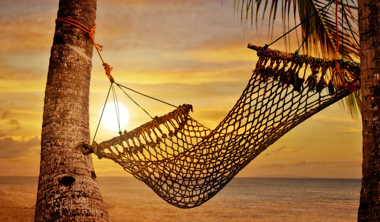 5 thrillers to read on the beach