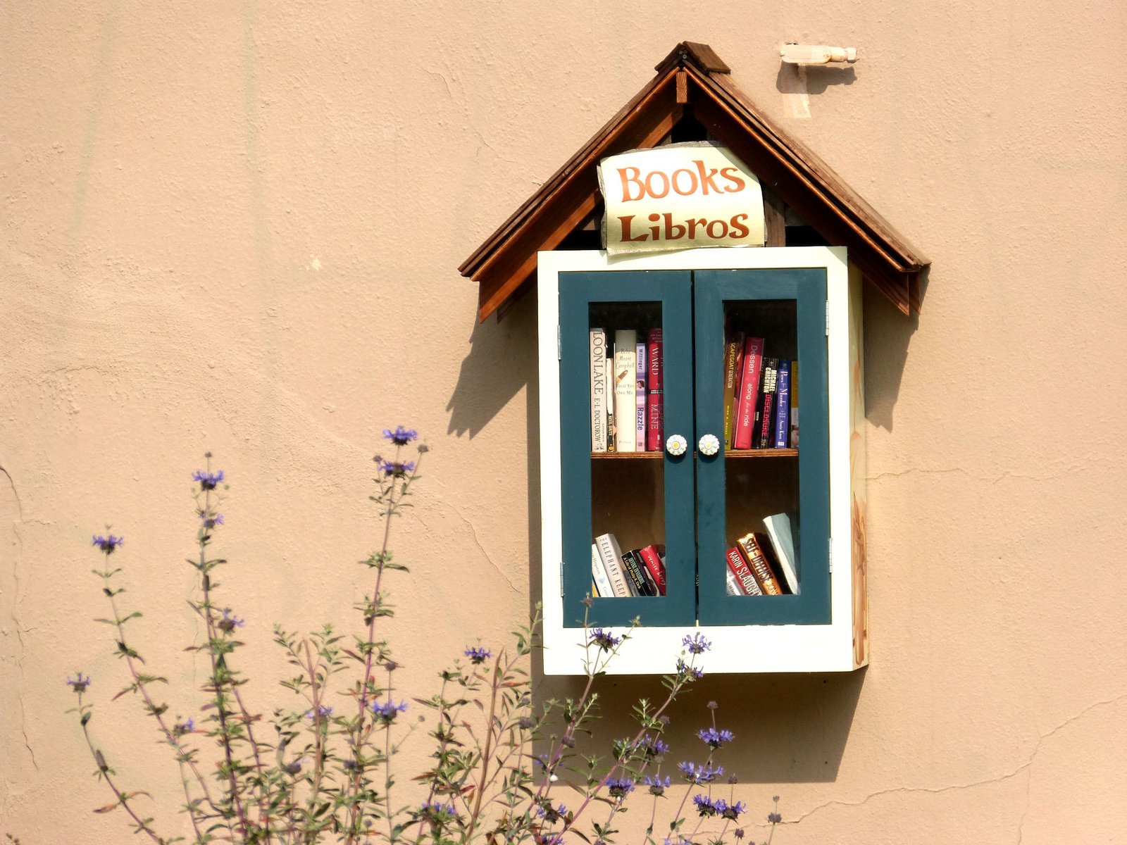 Little free library