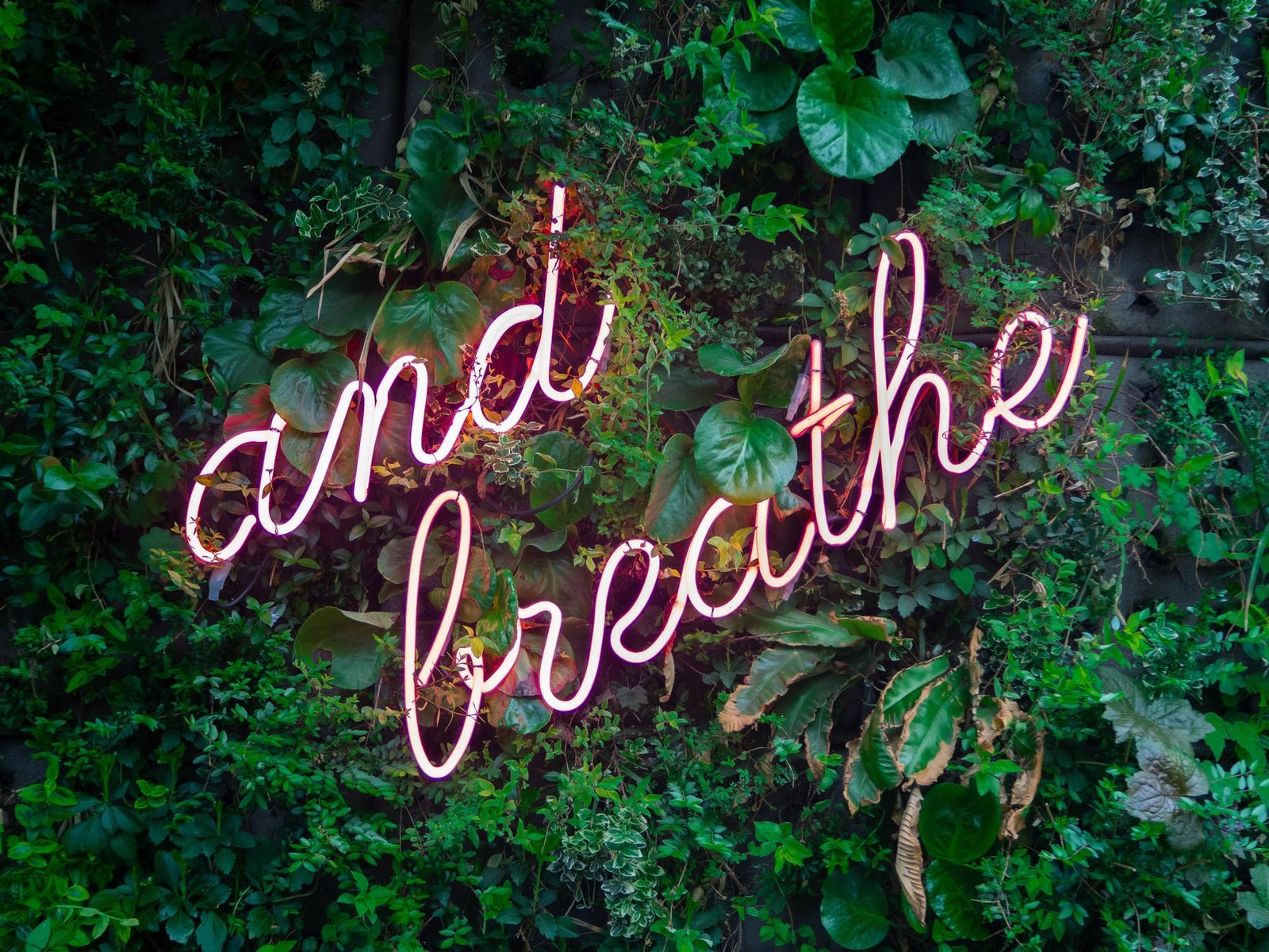 Neon sign reading "and breathe"